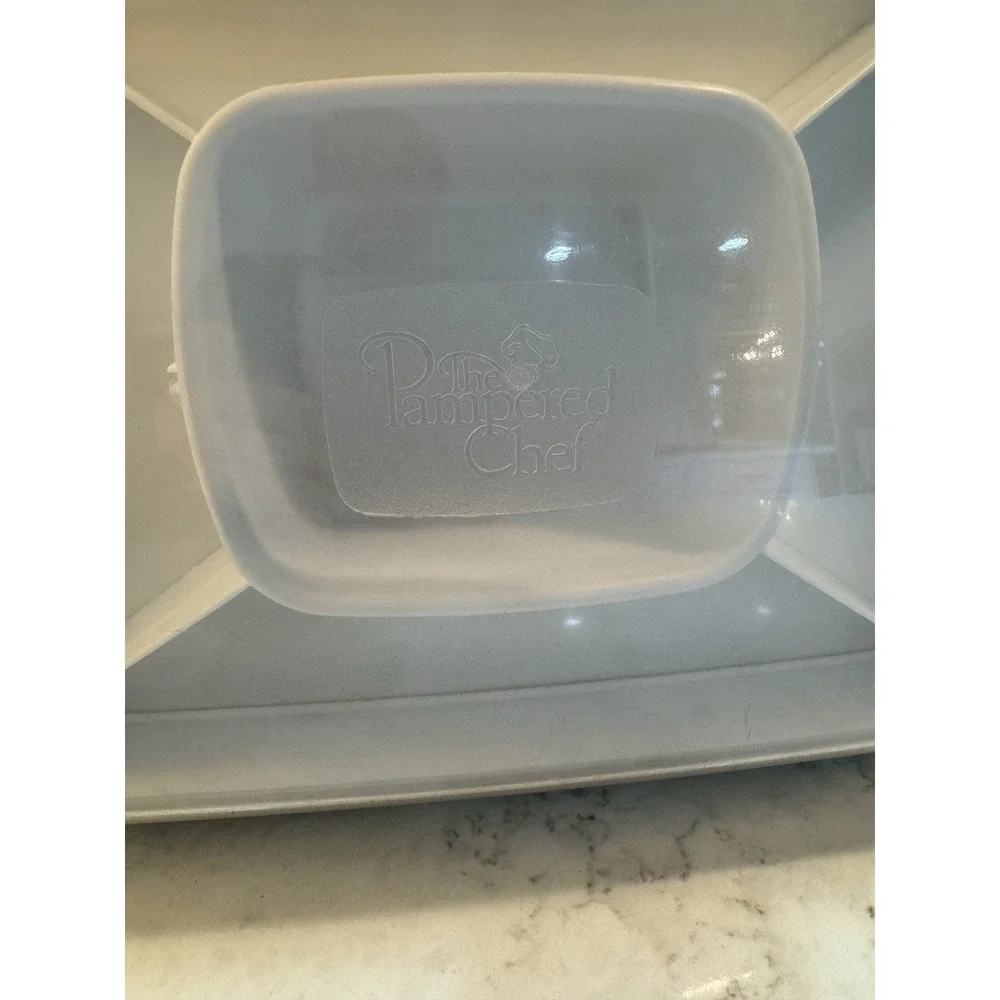 Pampered Chef Chillzanne Rectangle Server with Lid 2781 Deviled Egg /Veggie Tray